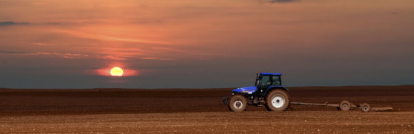 forestry winch friction materials, off-highway disc brake pads, oil immersed friction materials, mintex fibre